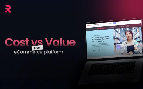 Cost vs. Value: What to Consider When Investing in a B2B eCommerce Platform